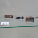 충청남도 산림박물관 이미지