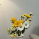 꽃 정기배송 후기 집안 인테리어 꽃다발, 모든 생화 꽃다발 기념일 택배