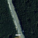 남조로 사려니숲길입구 | 제주 동쪽 사려니숲길 걸어본 후기 주차장