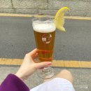 순라길 | 종로 서순라길 야장 : 순라길 비비 벚꽃 돌담뷰 퇴근길 힐링 스팟