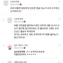 시술글 보는데 쉰빵 개웃기네 이미지