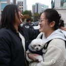 몽글몽글 Daum카페
