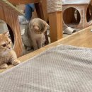 인더라인25 신촌2호점 이미지