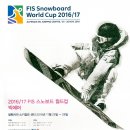 2016/17 FIS 스노보드 월드컵 빅에어 이미지