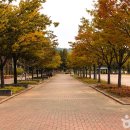 반야월역사 작은도서관 내 이미지