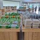 율포해수녹차센터 이미지