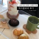 클로버 | 양평 소금빵 맛집 [하이클로버] 내돈내산 후기
