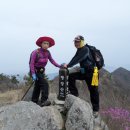 고창 방장산(솔재) Daum카페