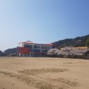 심원초등학교병설유치원 | 고창 심원 초등학교