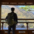 선주농장 | 울산 영남알프스 간월재 최단코스 억새시기 실시간 주차장 휴게소