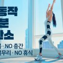가볍지만 확실하게 체지방 걷어내는 유산소 / 다이어트 운동 홈트레이닝 - 논스탑 휴식없음 이미지