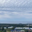 사우쓰캘리 이미지