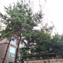 성산2차e편한세상아파트 이미지