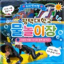 평택대학교 | 💦 평택 아이와 가볼 만한 곳 | 평택대학교 물놀이장 솔직 후기 (대형 슬라이드,페달보트,범퍼카까지)