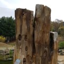 상록 행정사사무소 이미지