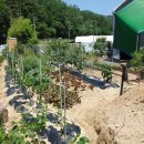 문양농장 이미지