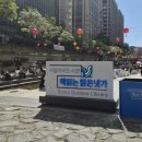 냇가 | 서울 도심 속 힐링 명소, 청계천 야외도서관 책읽는 맑은냇가 방문 후기