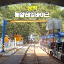 용화 | 삼척 놀거리 추천 삼척 해양 레일바이크 용화역 예약 탑승후기