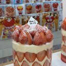 케익인더씨티(양덕점)