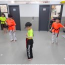 태비태권도 이미지