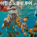 여행하기좋은날