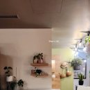 베른 (BERN) | 스위스 숙소 추천 가족여행 5명 스테이 쿠크 베른 완도르프 Stay Kooook Bern Wankdorf 후기