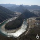 소동느티나무 이미지