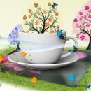 세상사는이야기 이미지