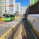 몰운대초(학교담장) 이미지