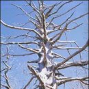 경이의세계 이미지