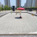 산동물빛공원 이미지