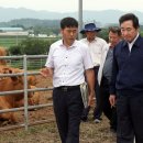 푸른 한우농장 이미지