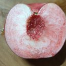 경봉마트 이미지