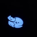 멜로디펫살롱 이미지