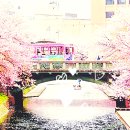 테라마르 | 2023.3.16(木) 빌리의 감사일기