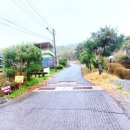 북파주농협파평지점 이미지