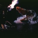 플래시드인 이미지