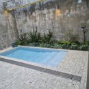 제주애단비 마주 이미지