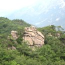 (주)무학항공여행사
