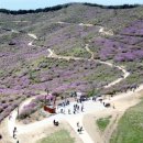 합천광역시티투어 누비고 이미지