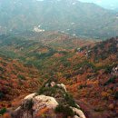 속리산 - 성남시 중원구 시민로117번길 2 | 속리산