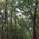 대구광역시 도시관리본부 | 하루 3만 5천여 명 찾는 두류공원, 봄맞이 새단장 완료