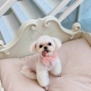 루앤몽 네이버블로그