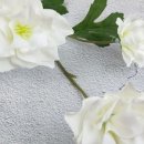 세뇨르킴 네이버블로그