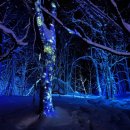 서초민박 | [일본미대] 2026 오타루 ‘유키아카리(雪あかり· 눈빛 축제)’와 북쪽 지역의 겨울 행사 / 몽뜰유학...