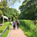 웰빙만나식당 이미지