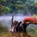 기다리는 마음 이미지