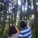 별숲 농장 이미지