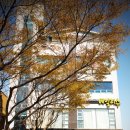 목포미즈아이병원 이미지