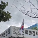 백리향 | 제주도 맛집 / 집밥 스타일 백리향 백반정식 내돈내산 후기